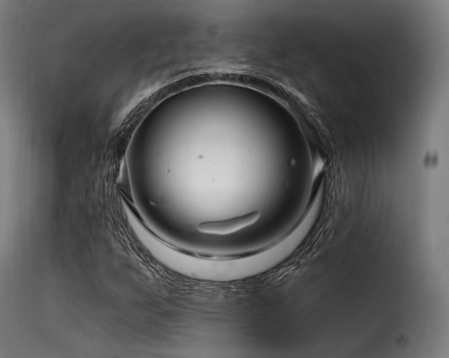 X0000116161255200911231357