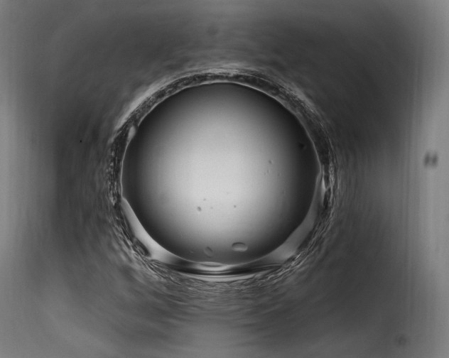 X0000116161256200911231357