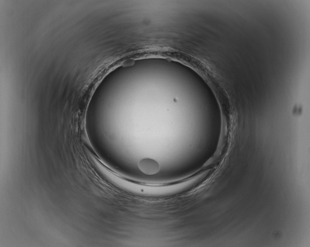 X0000116161257200911231357