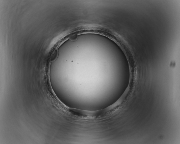 X0000116161261200911231357