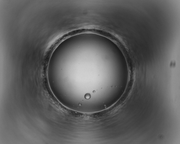 X0000116161263200911231357