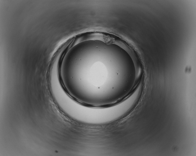X0000116161264200911231357