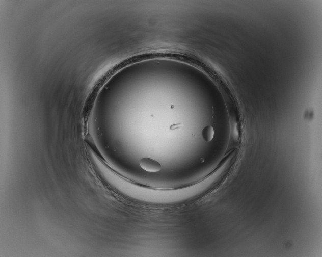 X0000116161267200911231356