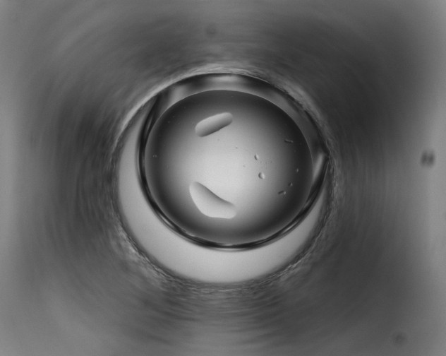 X0000116161268200911231356