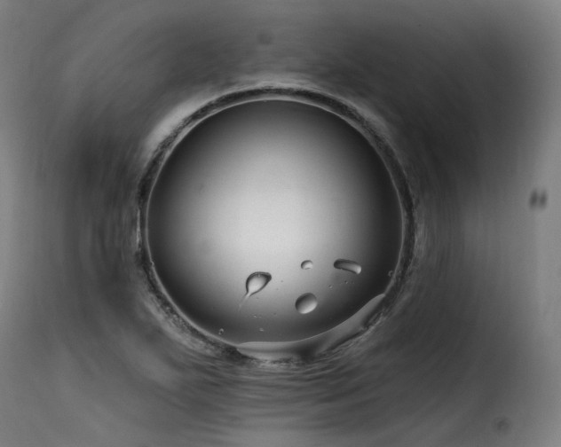 X0000116161271200911231356