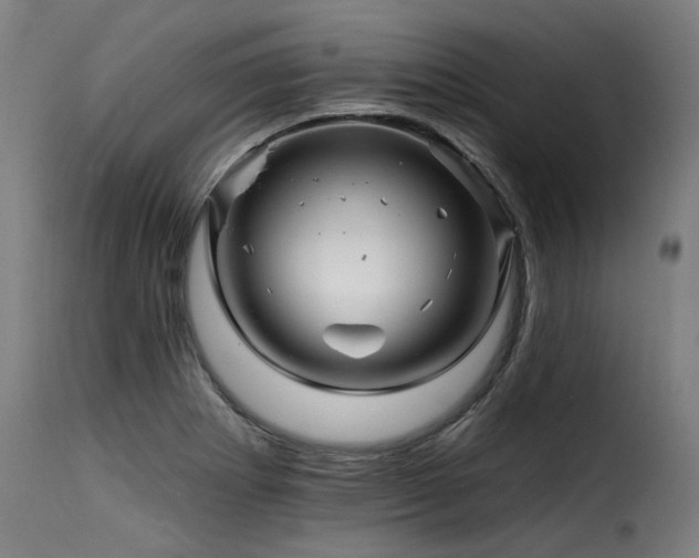 X0000116161273200911231356