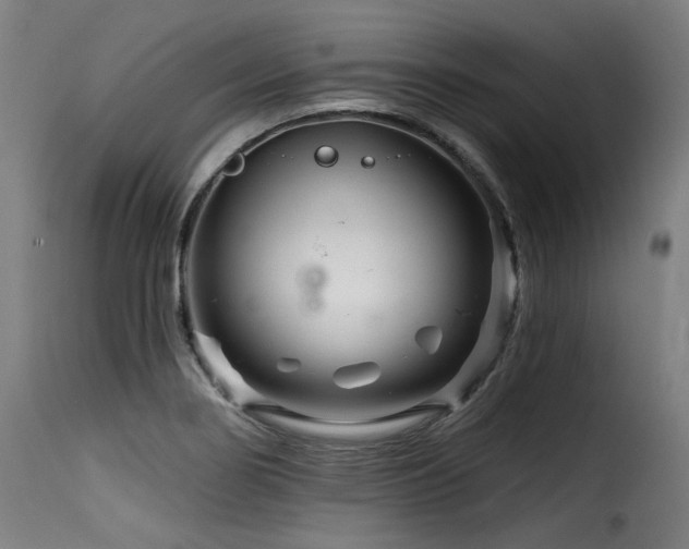 X0000116161274200911231356