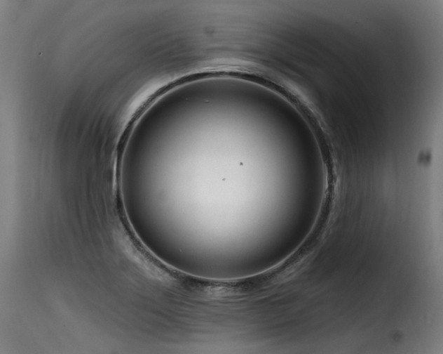 X0000116161275200911231356