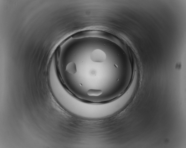 X0000116161276200911231356
