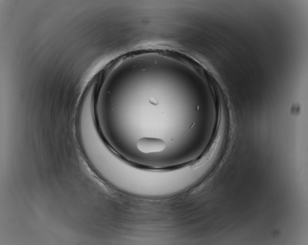 X0000116161277200911231356