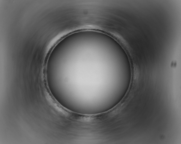 X0000116161278200911231356