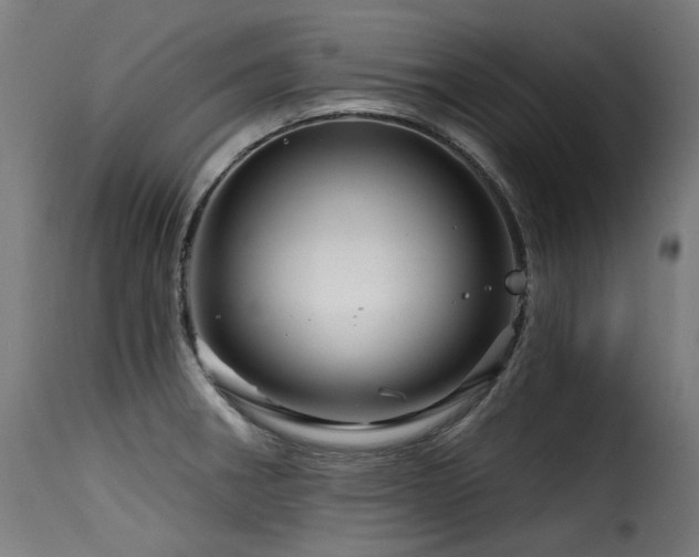 X0000116161282200911231356