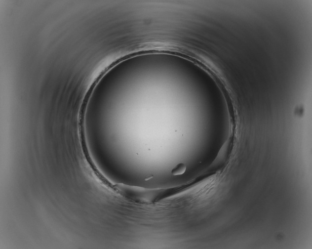 X0000116161283200911231356