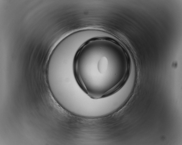 X0000116161284200911231356