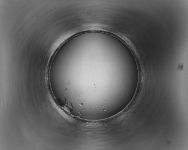 X0000116161285200911231356