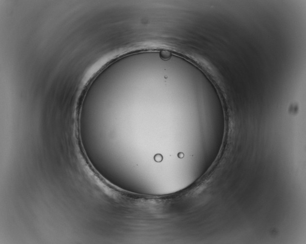 X0000116161286200911231356