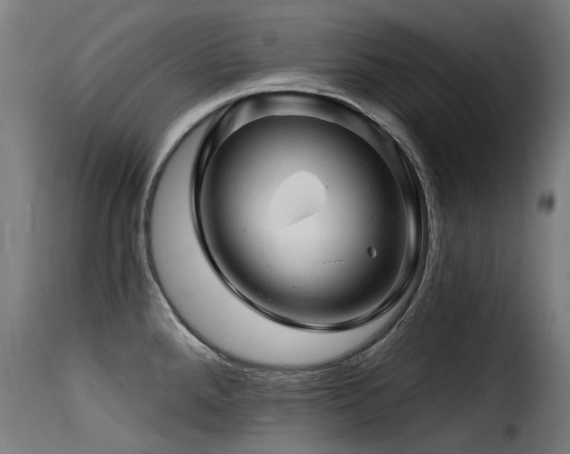 X0000116161288200911231356