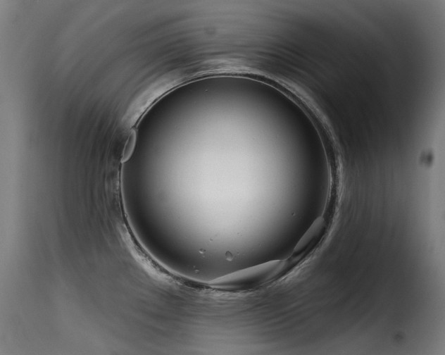 X0000116161289200911231356