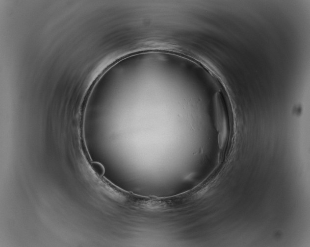 X0000116161291200911231356