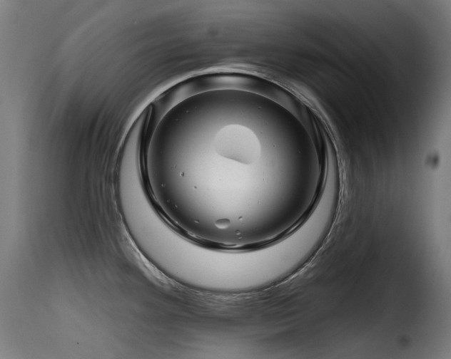 X0000116161292200911231356