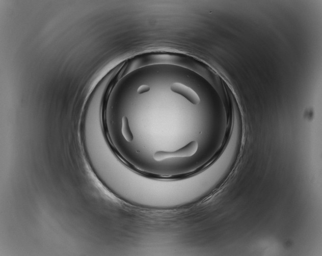 X0000116161293200911231356