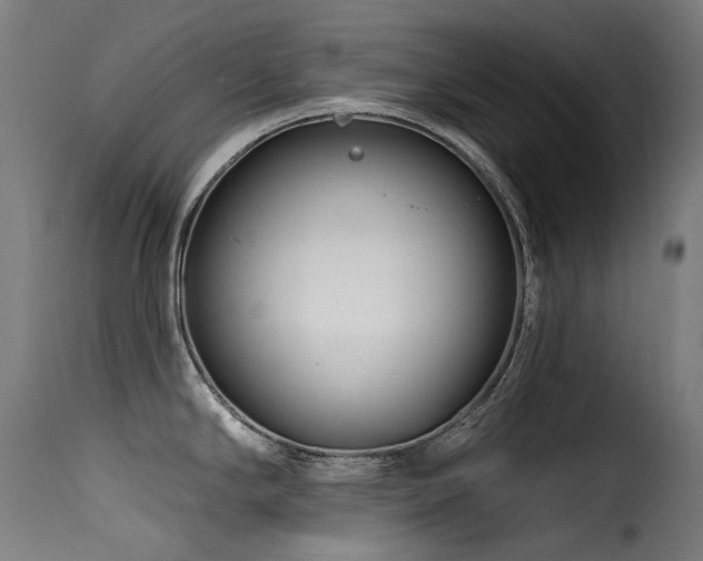 X0000116161294200911231356