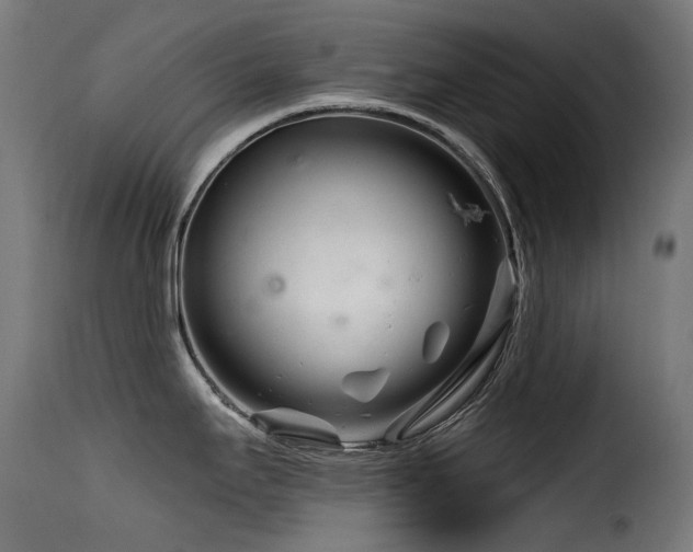 X0000116161295200911231356