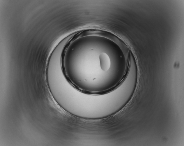 X0000116161296200911231356