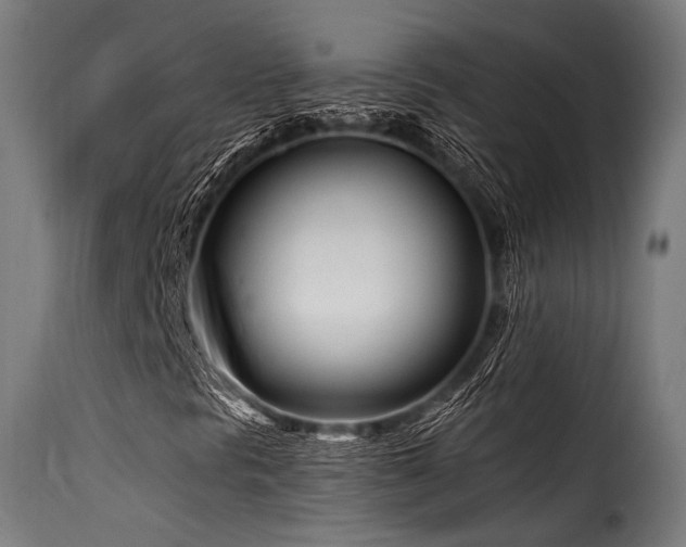 X0000116161297200911231355