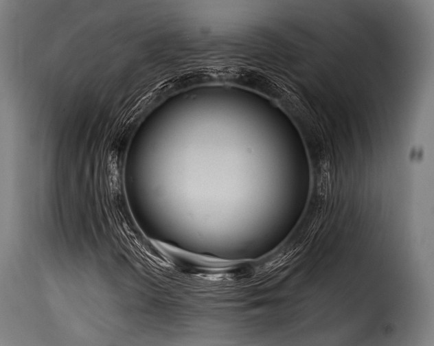 X0000116161298200911231355