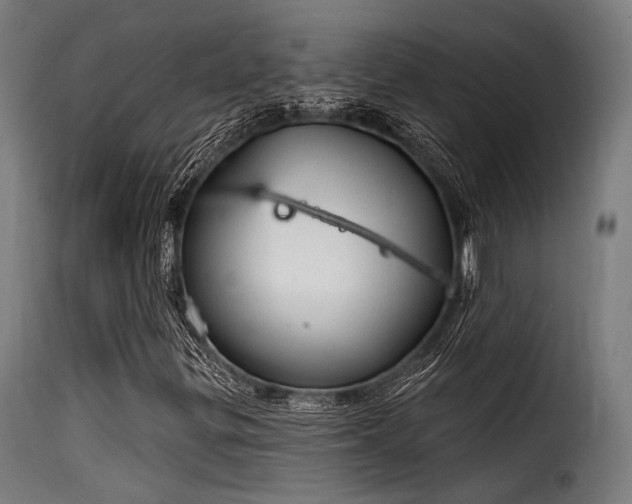 X0000116161299200911231355