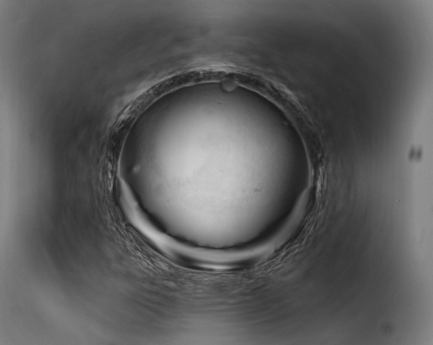 X0000116161303200911231355