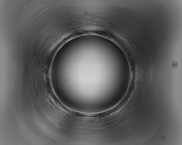 X0000116161305200911231355