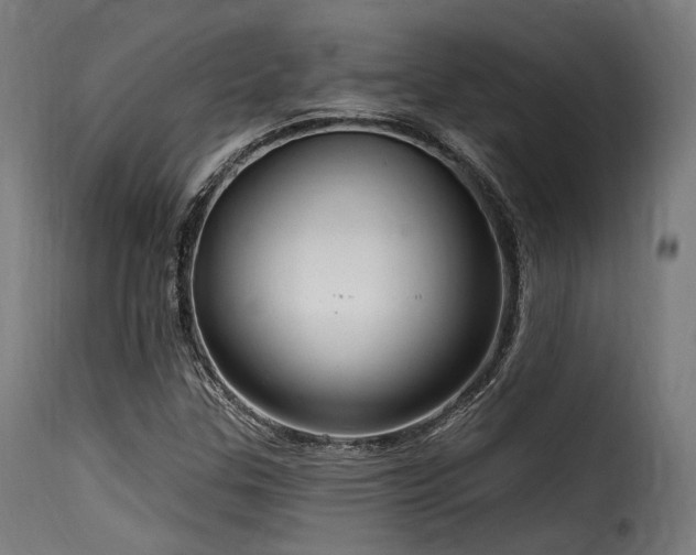 X0000116161307200911231355