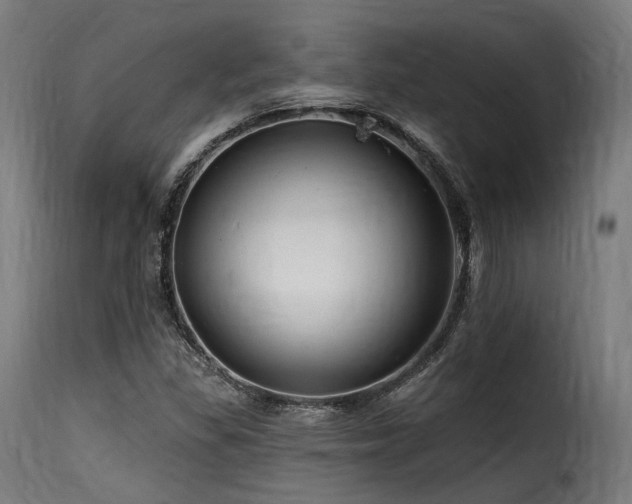 X0000116161309200911231355