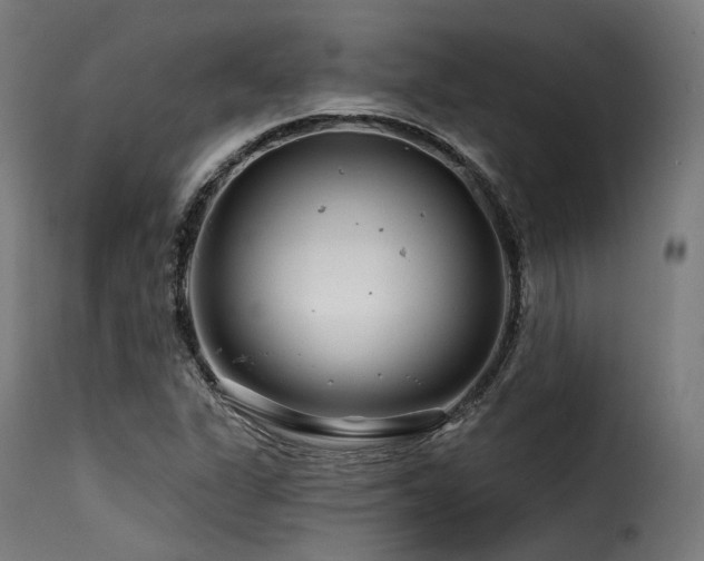 X0000116161311200911231355