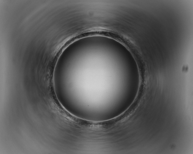 X0000116161313200911231355