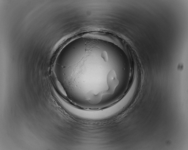 X0000116161314200911231355