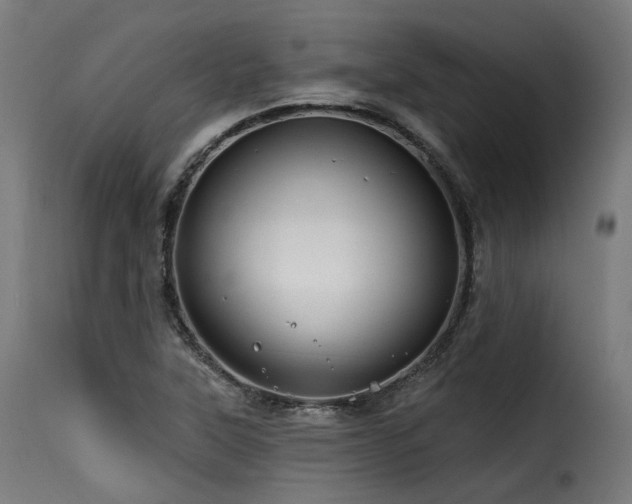 X0000116161315200911231355