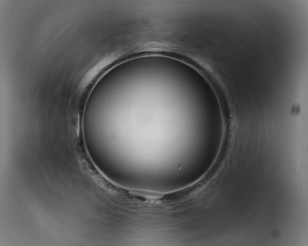 X0000116161317200911231356