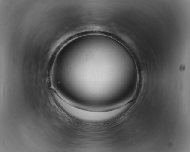 X0000116161318200911231356