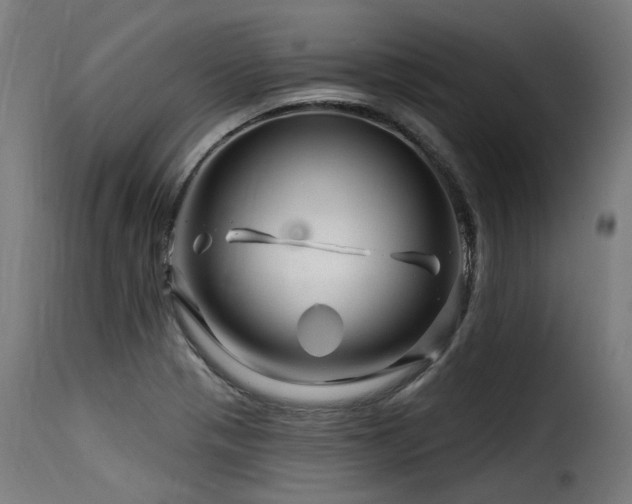 X0000116161321200911231356