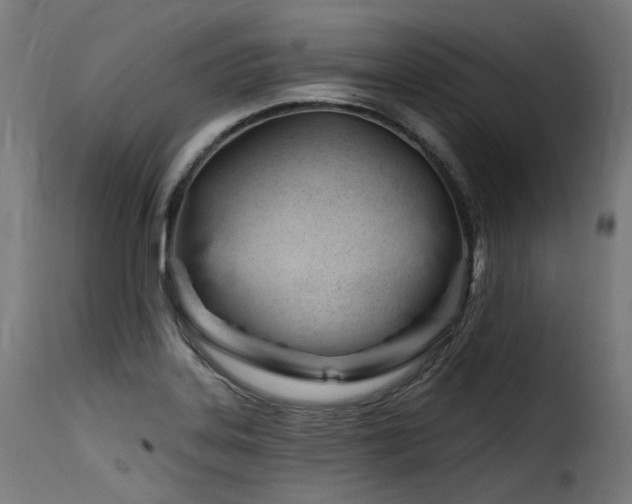 X0000116161323200911231356