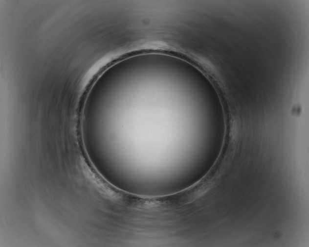 X0000116161326200911231356