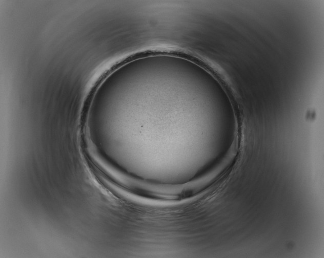 X0000116161327200911231356