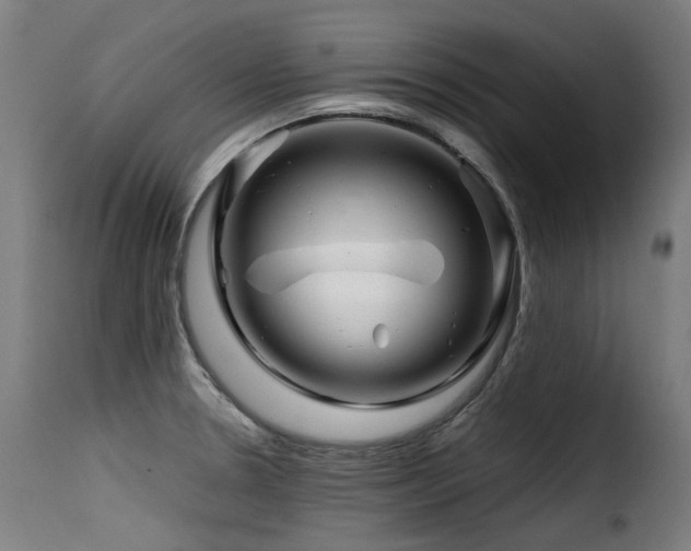 X0000116161330200911231356