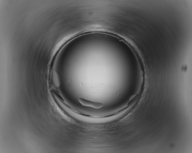 X0000116161333200911231356