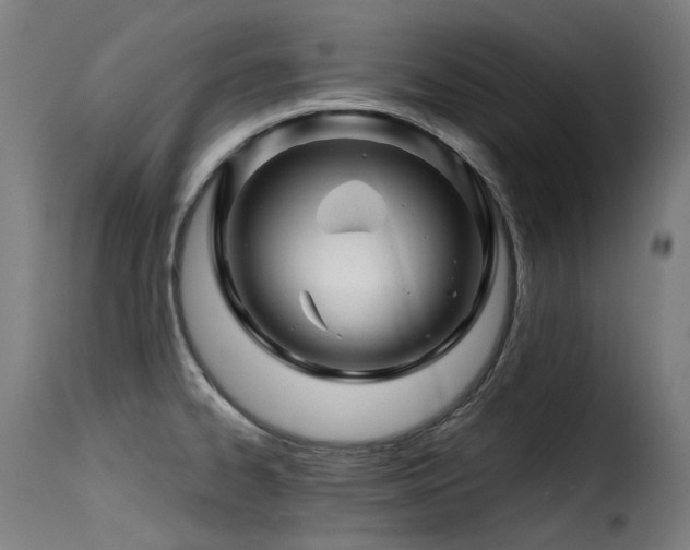 X0000116161334200911231356