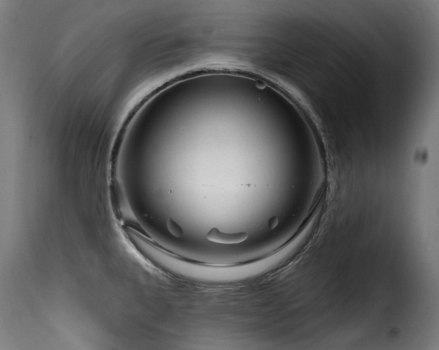 X0000116161335200911231356