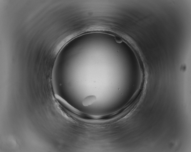 X0000116161337200911231356
